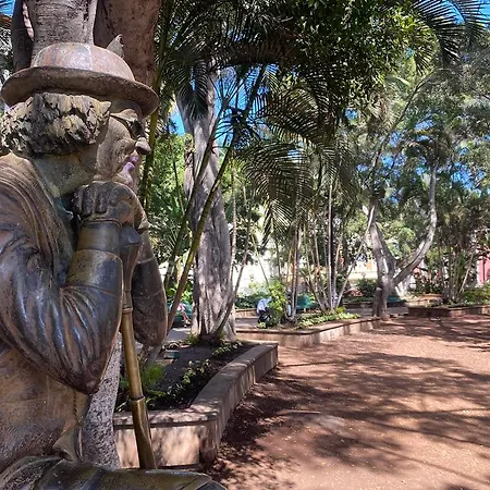 酒店 和平王子酒店 3*